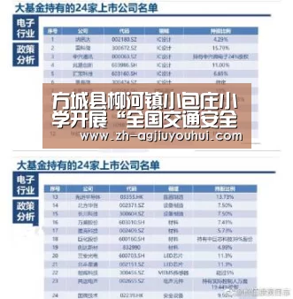 方城县柳河镇小包庄小学开展“全国交通安全日”主题教育活动|ag九游会
