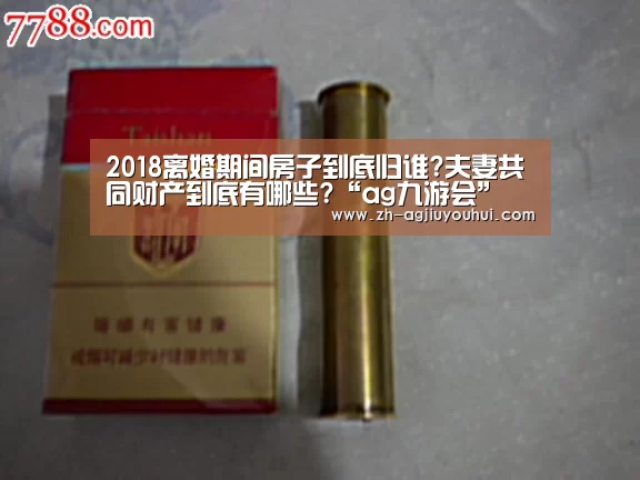 2018离婚期间房子到底归谁?夫妻共同财产到底有哪些?“ag九游会”(图2) ag九游会